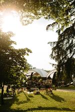 52195334301_41dfa452f7_o