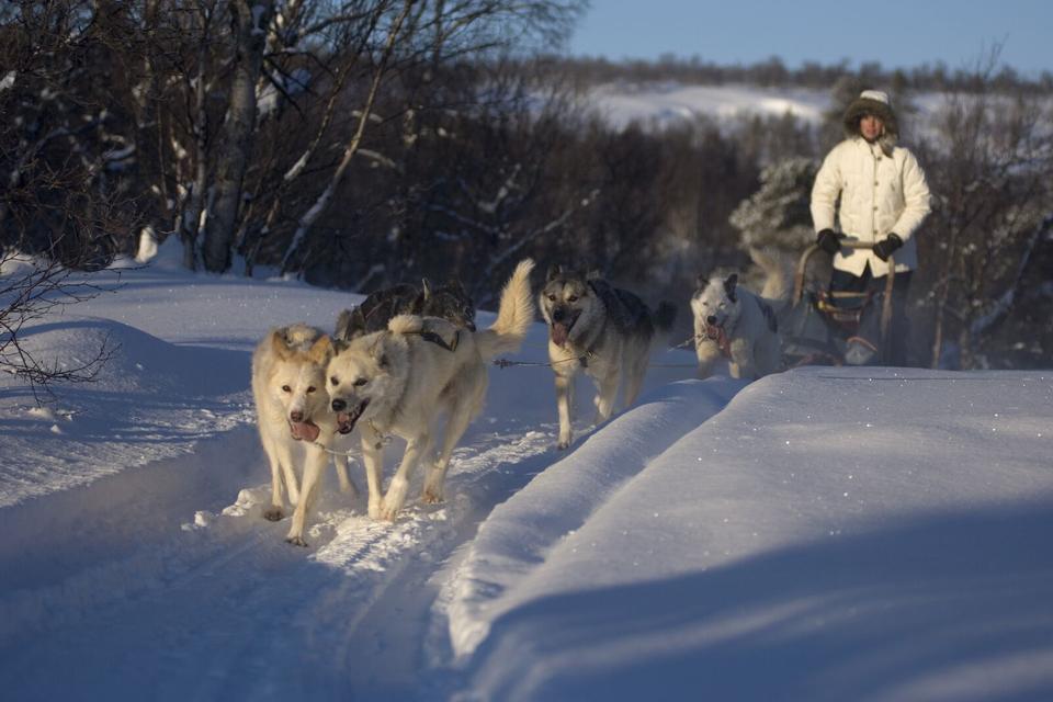Foto: Terje Rakke
