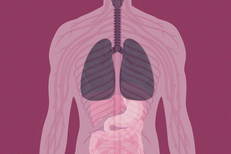 Illustration: Karen Rosenlund 