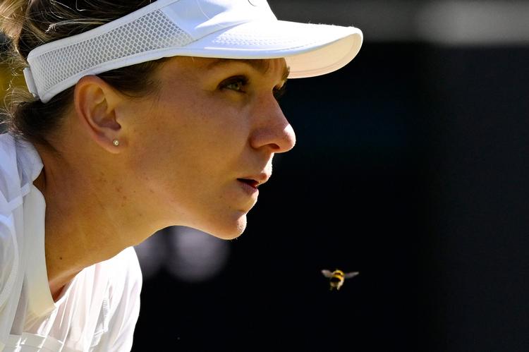 Den tidligere verdensetter Simona Halep har været udelukket fra al tennis siden oktober sidste år. Ny dopingsag kan betyde afslutningen på hendes karriere. Foto: Toby Melville/Ritzau Scanpix