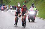 Geraint Thomas - i Ineos-holdets røde farve - distancerede konkurrenten Primoz Roglic med 25 sekunder på tirsdagens bjergetape i Giro d'Italia. Hvidklædte Joao Almeida vandt etapen og avancerede til løbets andenplads.  Foto: Luca Bettini/Ritzau Scanpix
