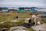 Grønlands landsstyreformand har været ude med riven efter den danske regering, som han mener udviser disrespekt for Grønland. Foto: Thomas Borberg