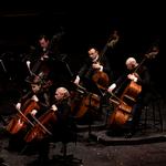 Musikerne i Kapellet præsterede flot, selv om situationen er ubehagelig. Her ses nogle af orkestrets strygere under en tidligere koncert i Operaen. Arkivfoto Marcus Emil Christensen