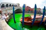 Turister og indbyggere i Venedig vågnede op til et usædvanligt syn søndag, da vandet i byens store kanal var lysende grønt. Foto: Stringer/Ritzau Scanpix