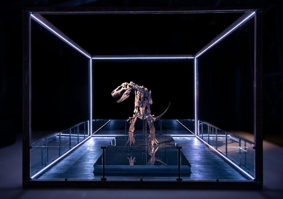 Evolutionsmuseet