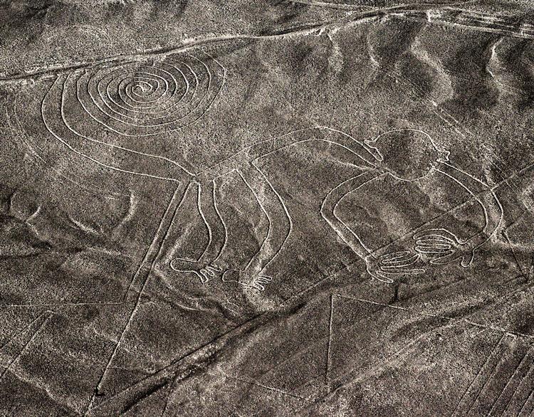 Aben, en af de mest kendte og genkendelige geoglyffer ved Nazca i Peru. Foto: (c) Markus Leupold-löwenthal;licence: Cc-by-sa 3.0