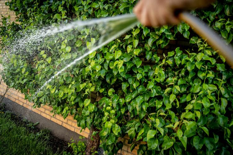 Foto: Mads Claus Rasmussen/Ritzau Scanpix