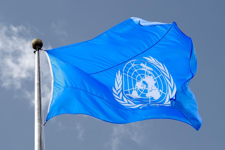 Flag_forside1