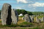 En menhir, bautasten på bretonsk, har symbolsk værdi. Nu forsøger lokale politikere at få dem skrevet ind i Unescos register over verdens kulturarv. Foto: Fred Tanneau/Ritzau Scanpix