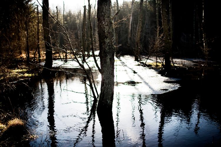 Aftalen kommer efter svære forhandlinger landene imellem. Flere medlemsstater har blandt andet efterspurgt øget fleksibilitet og flere undtagelser i loven. Foto: Ditte Valente
