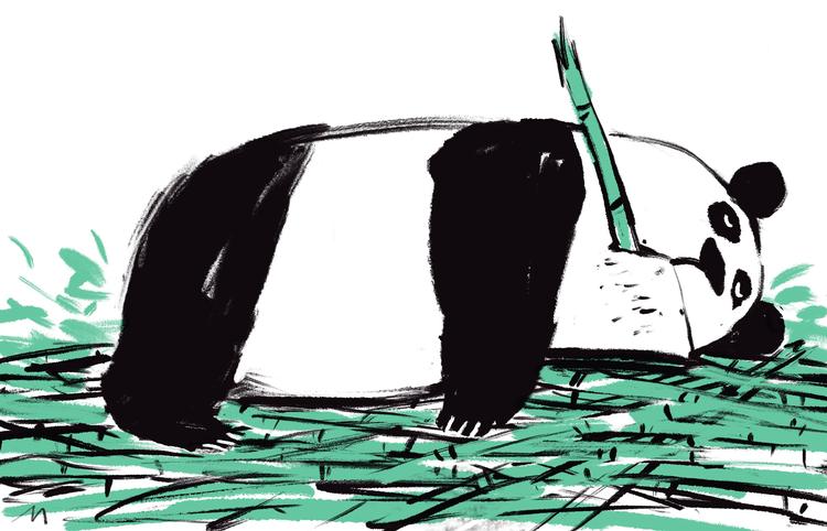 Foto: Mette Dreyer/POLITIKEN