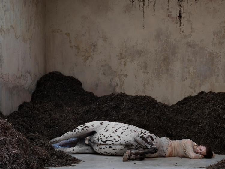 Uffe Isolottos totaludstilling ’We Walked The Earth’ gjorde den danske pavillion til Venedig Biennalen »mere underlig end nogensinde«. Nu kommer udstillingen til byen. Arkivfoto: Ugo Carmeni. Foto: Ugo Carmeni