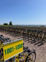 Cykeludlejningens 1.700 gule cykler er nærmest blevet synonym med Hven og står hver dag i sommerhalvåret klar til besøgende, der skal ud på de tohjulede.  