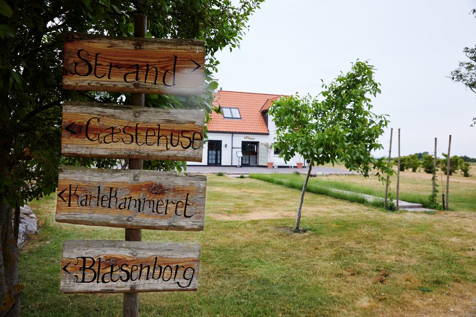 Vejrø, der ligger 9 km. nord for Kragenæs på Lolland, er 1,5 km2 og privatejet. Kim Fournais (Saxo Bank) købte øen i 2005, fjernede næsten 100 tons metal- og andet affald, og dyrker nu øen økologisk. Ved Restaurant Skipperly står dette vejskilt.   Foto: Morten Langkilde
