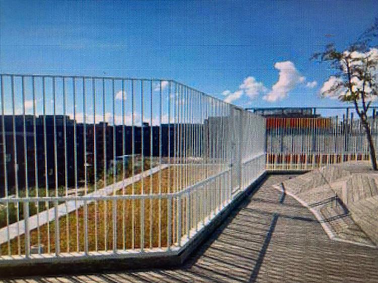 På Skolen i Sydhavnen fortæller en leder i fritidsordningen, at børnene let kan krave ud over kantværnet. Den beplantede tagflade kan give en falsk tryghed, der er langt ned. Billedet er fra en ny rapport fra Københavns Kommune. 