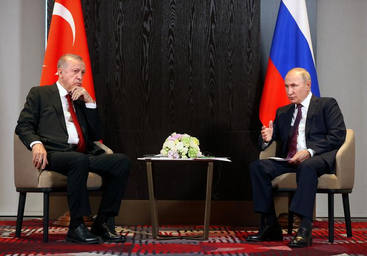 Hvorfor ringede Erdogan, som er præsident i et Nato-land, til Putin og talte i telefon med ham som en af få verdensledere? Foto: Sputnik/Ritzau Scanpix