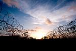 Foto: Mladen Antonov/Ritzau Scanpix
