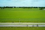 Foto: Jens Dresling