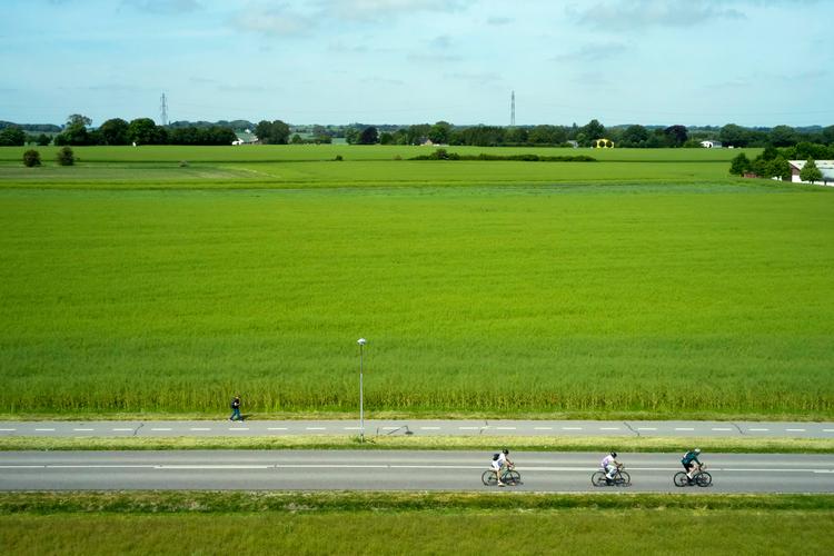 Foto: Jens Dresling