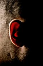 Der er flere veje ind i øret. En bagvej går gennem hjernens spinalvæske og en spinkel kanal til det indre øre, og ad den vej har forskere nu kureret medfødt døvhed hos mus.  Foto: Joachim Adrian