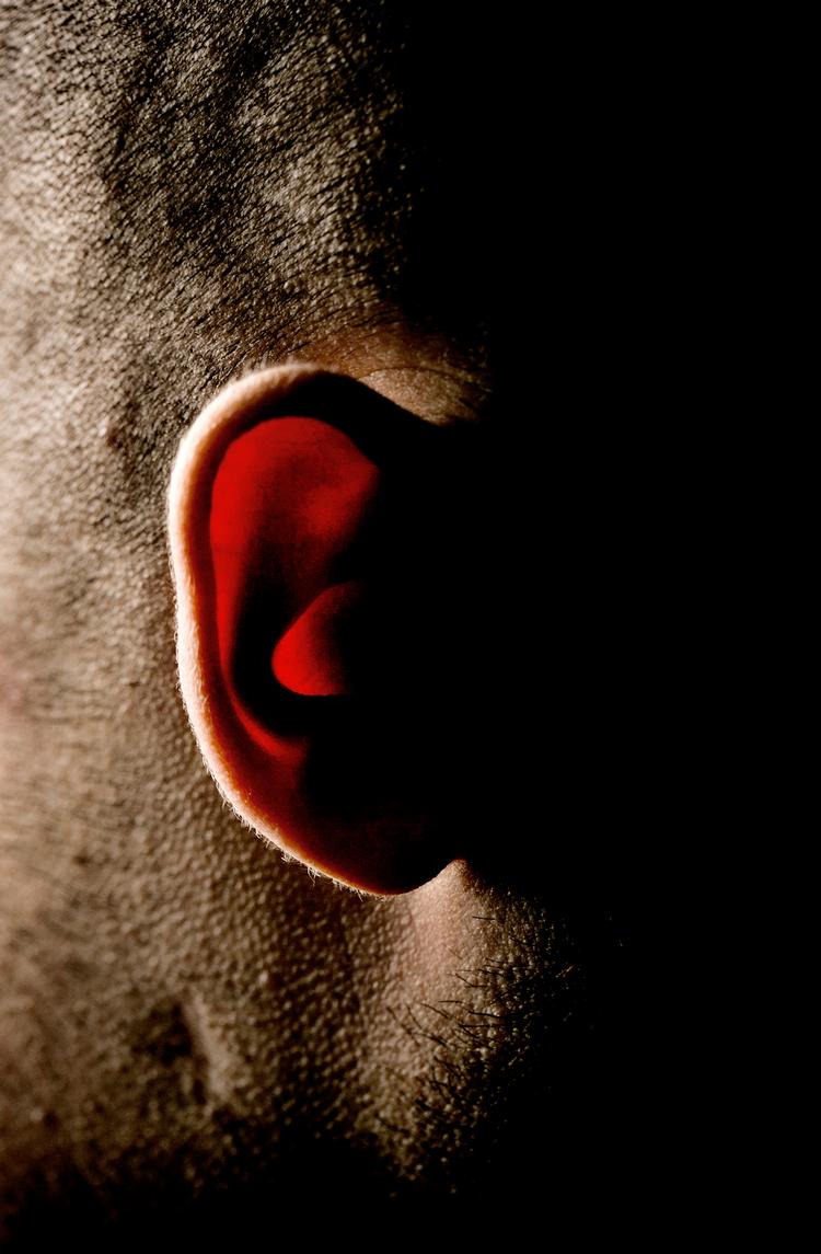 Der er flere veje ind i øret. En bagvej går gennem hjernens spinalvæske og en spinkel kanal til det indre øre, og ad den vej har forskere nu kureret medfødt døvhed hos mus.  Foto: Joachim Adrian