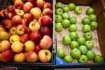 Mange virksomheder abonnerer i bedste mening på frugtordninger. Foto: Jens Dresling