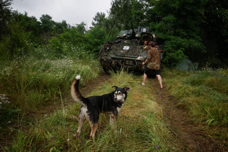 Ukrainske soldater med et amerikansk infanterikampkøretøj ved fronten. Foto: Rfe/rl/serhii Nuzhnenko/Ritzau Scanpix