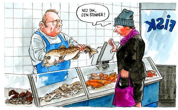 Foto: Roald Als/POLITIKEN