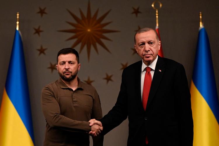 Forud for Nato-topmødet næste uge udtrykte tyrkiske præsident Erdogan til tydelige støtte til ukrainsk optagelse i forsvarsalliancen. Det er væsentligt, vurderer ekspert. Foto: Ozan Kose/Ritzau Scanpix