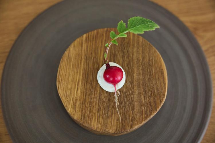 Alimentum i Aalborg. Foto: Claus Bjørn Larsen