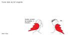 web_maren_2023-08-06