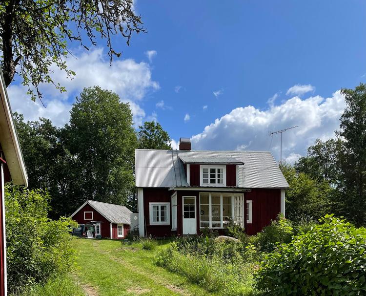 Foto: Lise Rønnebæk