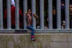 Spændingen mellem Polen og Belarus er optrappet. Humanitære ngo'er frygter, at det vil betyde, at de ikke kan yde hjælpe til de strandede migranter. og flygtninge, der befinder sig i skovene mellem de to lande.  Foto: Wojtek Radwanski/Ritzau Scanpix