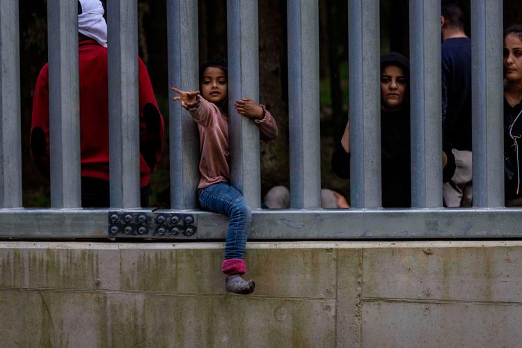 Spændingen mellem Polen og Belarus er optrappet. Humanitære ngo'er frygter, at det vil betyde, at de ikke kan yde hjælpe til de strandede migranter. og flygtninge, der befinder sig i skovene mellem de to lande.  Foto: Wojtek Radwanski/Ritzau Scanpix