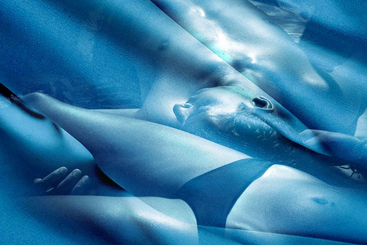 Collage Karina Kofod