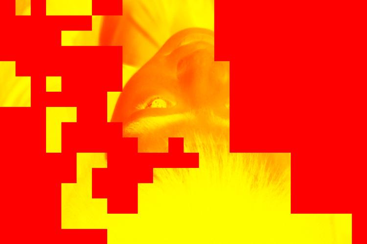 Originalfoto Finn Frandsen / collage: Rasmus Vendrup