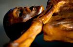 Ismanden Ötzi under et besøg på et arkæologisk museum i München i 2014. Foto: Sven Hoppe/Ritzau Scanpix