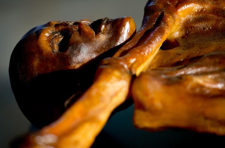 Ismanden Ötzi under et besøg på et arkæologisk museum i München i 2014. Foto: Sven Hoppe/Ritzau Scanpix
