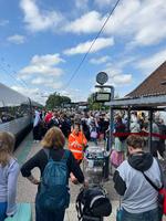 Foto: Pia Buhl Andersen