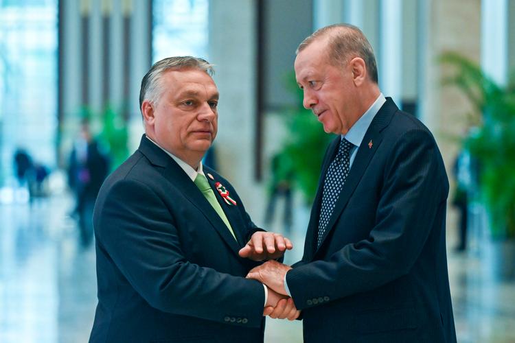 Den ungarske ministerpræsident, Viktor Orbán, og Tyrkiets præsident, Recep Tayyip Erdogan, mødes søndag i Budapest. I marts mødtes de to også i Istanbul. Foto: Uncredited/Ritzau Scanpix