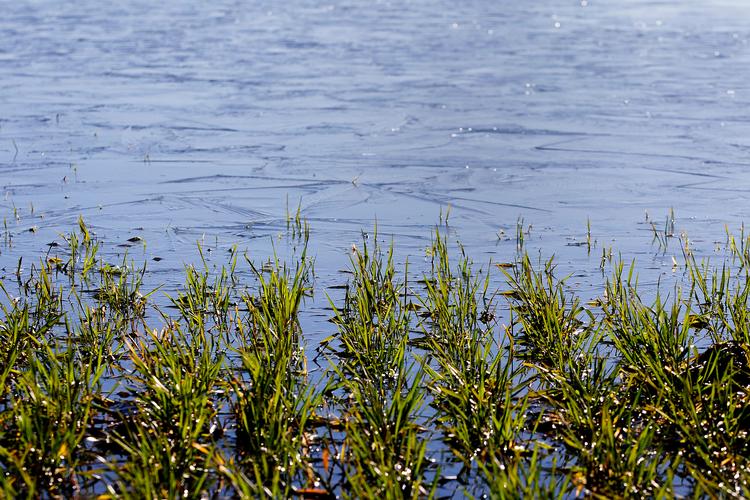 Skybrud, oversvømmelser og hedebølger vil forekomme hyppigere i fremtiden.    Foto: Finn Frandsen