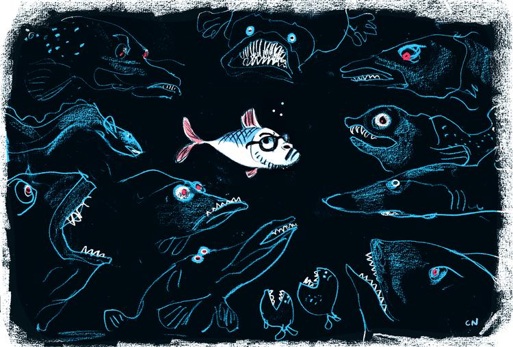 Foto: Claus Nørregaard/POLITIKEN