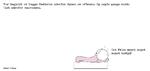 web_maren_2023-08-24