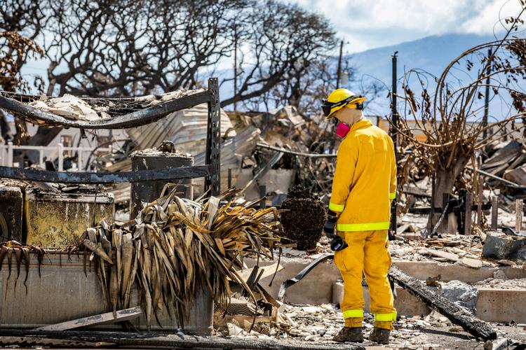 En brandmand kigger på resterne efter branden på Hawaii. Foto: Us Army/Ritzau Scanpix