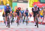 Alpecin-Deceunincks Kaden Groves slog Sebastian Molano fra UAE på 4. etape af Vuelta a España. Foto: Pau Barrena/Ritzau Scanpix