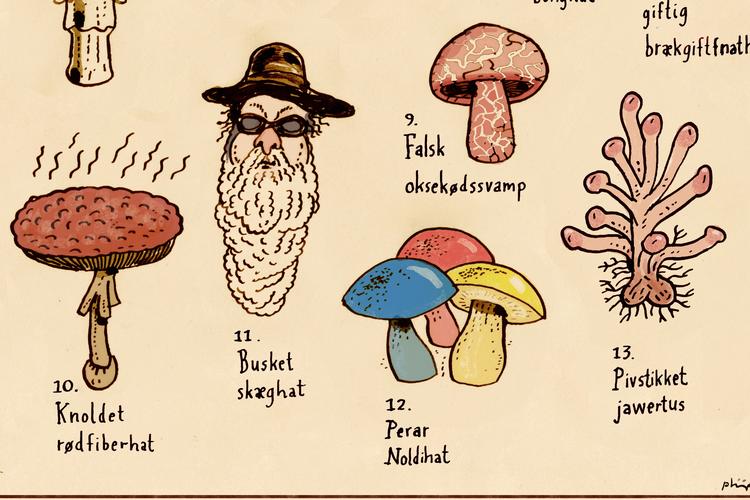 Tegning Philip Ytournel