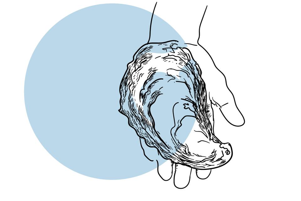 NET-Invasive-Østers