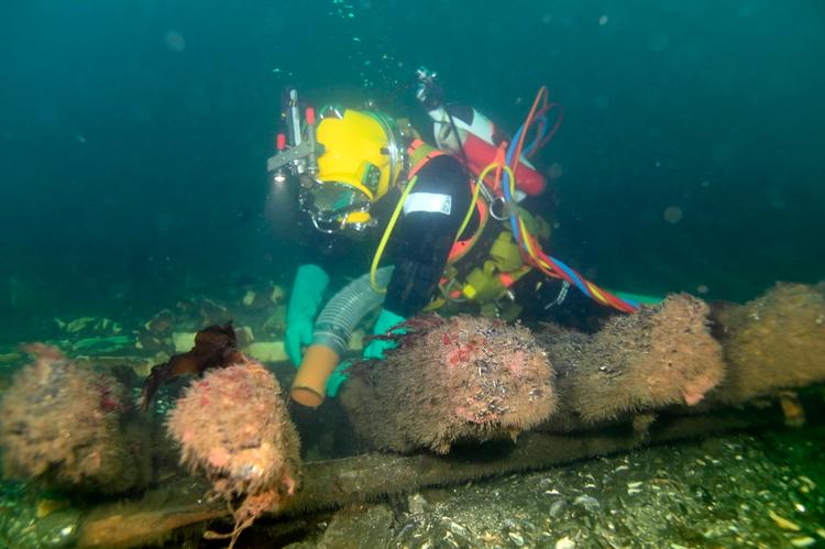 Foto: Morten Johansen/Vikingeskibsmuseet