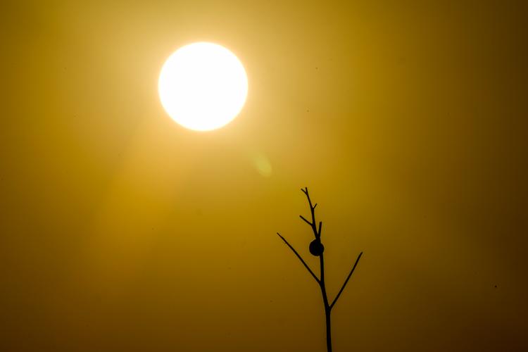 Foto: Ariel Schalit/Ritzau Scanpix