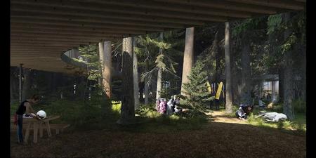 The Shelter giver ikke kun læ, men indbyder også til at gå på opdagelse mellem træerne.  Visualisering:  Effekt Arkitekter